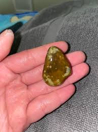 Help identifying Pudget Sound rocks : r/whatsthisrock