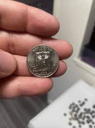 New Mexico 1912 2008 S State Quarter Dollar SILVER Proof ...