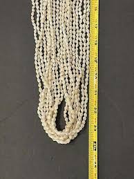 Rare! Hawaii 100% Ni'ihau Momi Shell 10 Strand 46” Lei Necklace w/Orig. Box | eBay