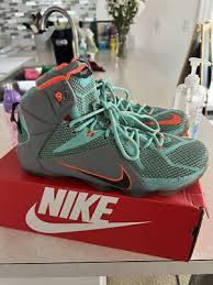 Nike LeBron 12 'NSRL' (Size 11) [684593-301] | eBay
