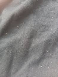 Tweety Bird Knock Your Socks Off Looney Tunes Collection ...