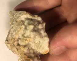 White Druzy Quartz on Agatized Coral Crystal Cluster From MO ...
