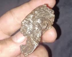 89.48 Gr. Campo Del Cielo Meteorite From Mexico - Etsy