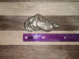 Gold und Blau, glänzende Austernmuschel mit echtem Sand und ...