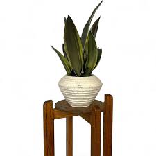 Vintage Oak Plant Stand - Solid Wood With Rotating Top ...