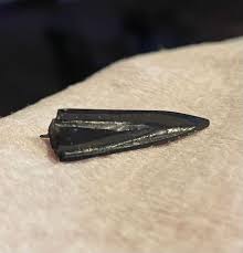 Is this real or fake? : r/ancientrome