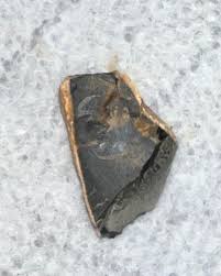 I'm not familiar with any rocks or crystals or fossils, but I found these in Virginia, at my family barn. These were all dug out of the same mountainside. I thought they