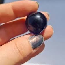 Pokemon | Other | Cloyster 9 Pokmon Vintage 199s Dark Blue ...