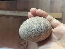 Is this stone or egg? - Fossil ID - The Fossil Forum