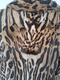 Vintage rare mature Brazilian Ocelot fur coat size 10 at 1stDibs
