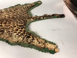 Sold at Auction: SMALL ANIMAL FUR TROPHY RUG WITH TAXIDERMY ...