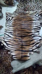 Echter Rindsleder-Tigerdruckteppich - Exotischer Haarteppich ...