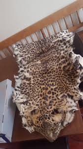 Given this pelt by a family friend, not sure what species of big ...