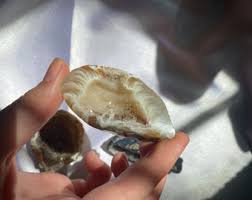 Chalcedony Druzy Geode: Cut Crystal Cluster - Etsy