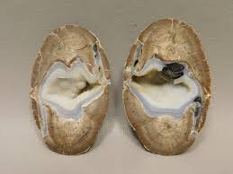 Dugway Thunderegg Pair Polished Rock Geode Blue Agate #O1PR ...