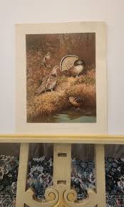 Lynn Bogue Hunt 1944 Field & Stream Game Birds of America ...