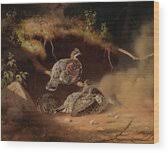 Hazel Grouse Wallowing In Sand, from 1877 Metal Poster by ...