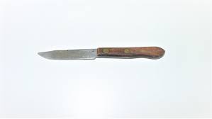 Paring Knife, Skyline Small Knife, Small Kitchen Knife ...