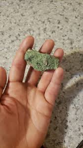 Is this even a rock? Higgins Lake, Michigan.