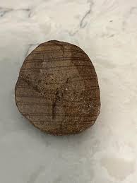 What kind of rock is this? : r/whatsthisrock