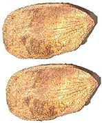 Amazon.in: One Eye Coconut