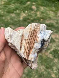 Opalized Wood (New Mexico) | eBay