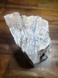 Crystalized Petrified Wood with vien 2.6lbs | eBay
