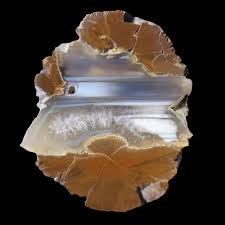 Wild Iris Thunderegg Polished Display Piece - Etsy