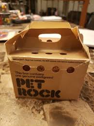 Pet Rock Original Box, Nest, and Instruction Booklet 1975 ...