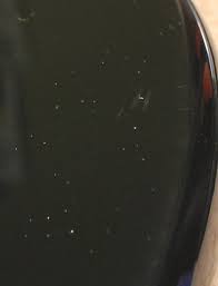 Lakland Joe Osborn 5-string Bass Made in the | Reverb The Netherlands