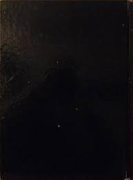 Angie, infirmière de nuit Tome 1 : Chris: Amazon.de: Books