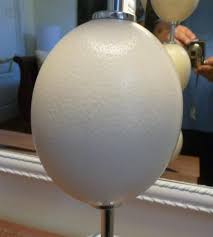3 Ostrich Egg & Chrome Lamp | Chairish
