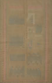 Artisan Wool Kilim Vegetable Dye Rug 4x6