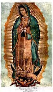 Our Lady of Guadeloupe on Canvas | 2nd Hand Books