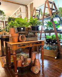 We are OPEN regular hours this weekend! Friday-Sunday 10-5 ...