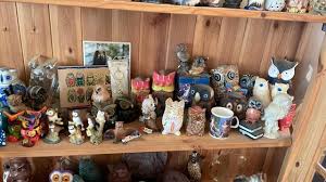 Does this hold any value? : r/Owls