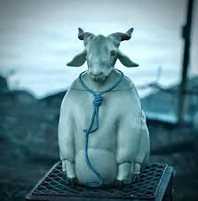 NO SPOILERS] Best supporting role nomination - a silent, but ...