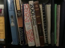 Project Bookshelf: Jahmayla Pointer - The Sundress Blog