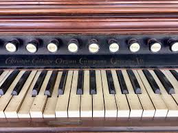 Buy 1890-1900 Antique Pump Organ by Chicago Cottage Organ Co ...