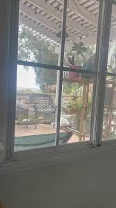 Squirrel hunting😂