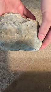 Huge Blue Gray Chert With Fossils | Flint | Rock | Mineral ...
