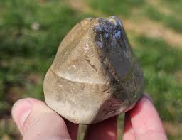 Fossiliferous Chert Nodules, Flint Nodules, Great Lake Huron ...