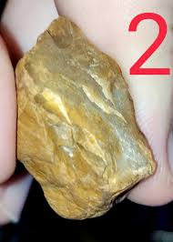 Random pieces from my landscape; what are these, and what ...