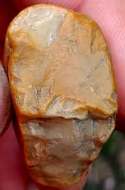 I found a cool little guy in the Black Earth Creek, Cross Plains, WI.