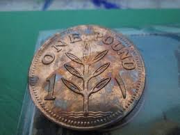 Rare 2020 Palestine Coin , one pound copper , issue date 2.2 ...