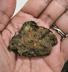 Authentic Dutch Netherlands VOC Holland 1700" Fossil ...