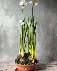 Carolina Elizabeth | Spring is in the air!!! #decor #pottery ...