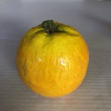 VTG Paper Mache Fruit & Vegetables 5 Pc Lot Eggplant Potato ...