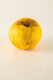 Old Apple that is Beginning To Rot Stock Photo - Image of ...