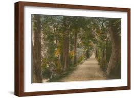 Addison's Walk, Oxford. Postcard Sent in 1913' Giclee Print ...